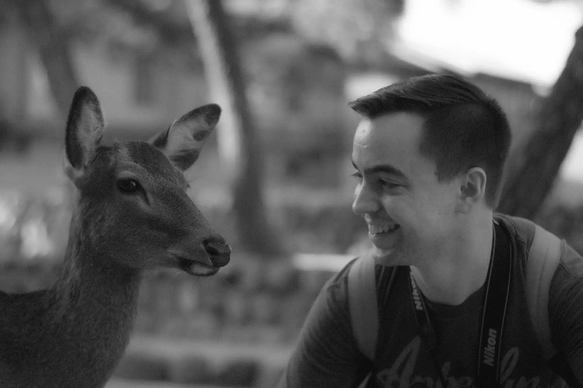 Photography Hero Image