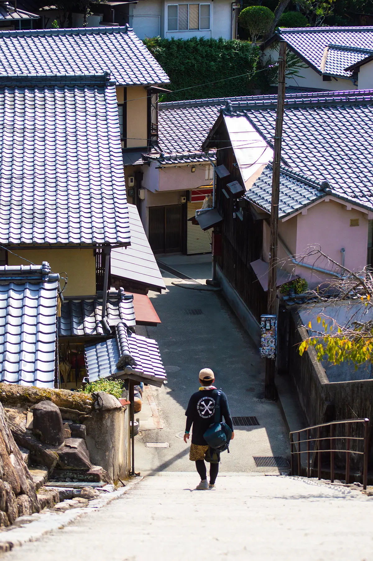 Photograph - Miyajima Stairs